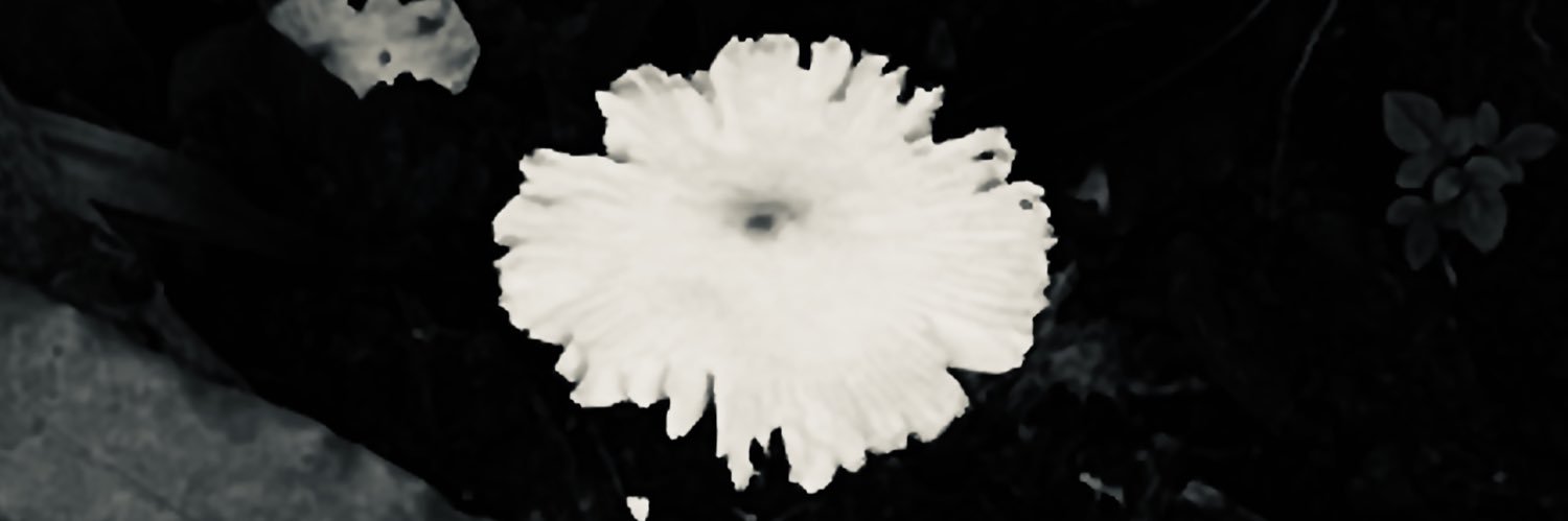 strawcherrlyuk's profile banner image