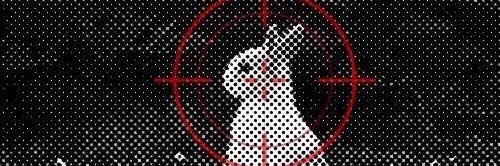 lyn 🎻 banner