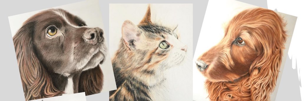 nickychadwick's profile banner image