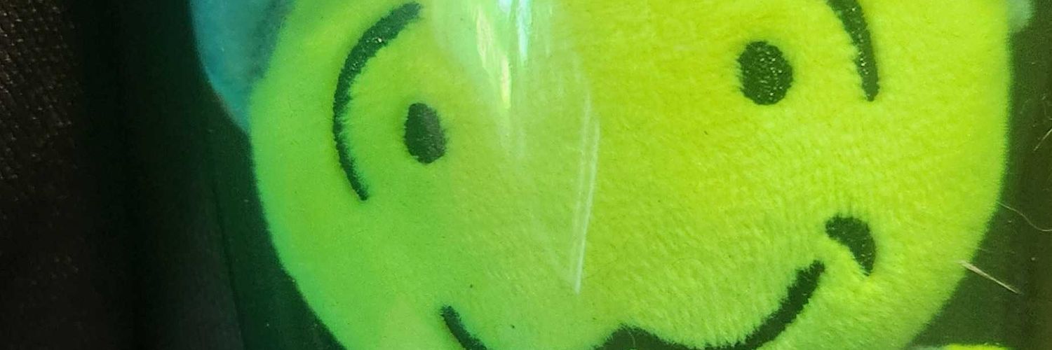 🕷🪳 Insect 🪲🐞 banner