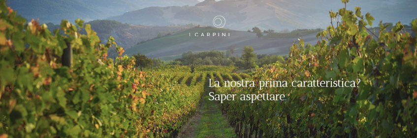 icarpiniwine's profile banner image