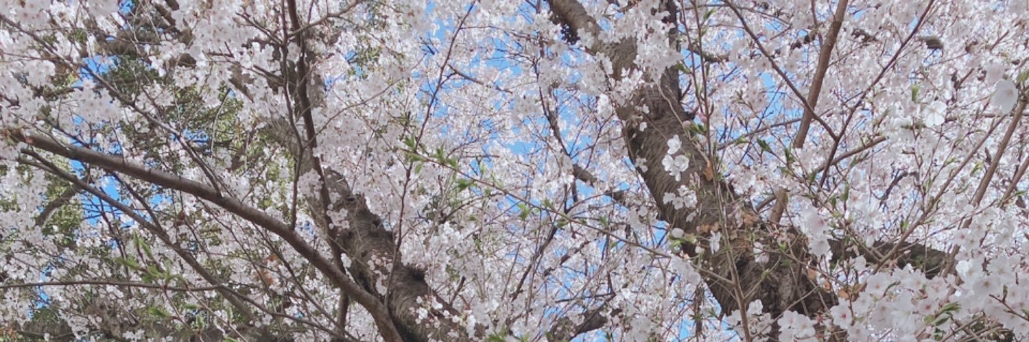 ふう banner