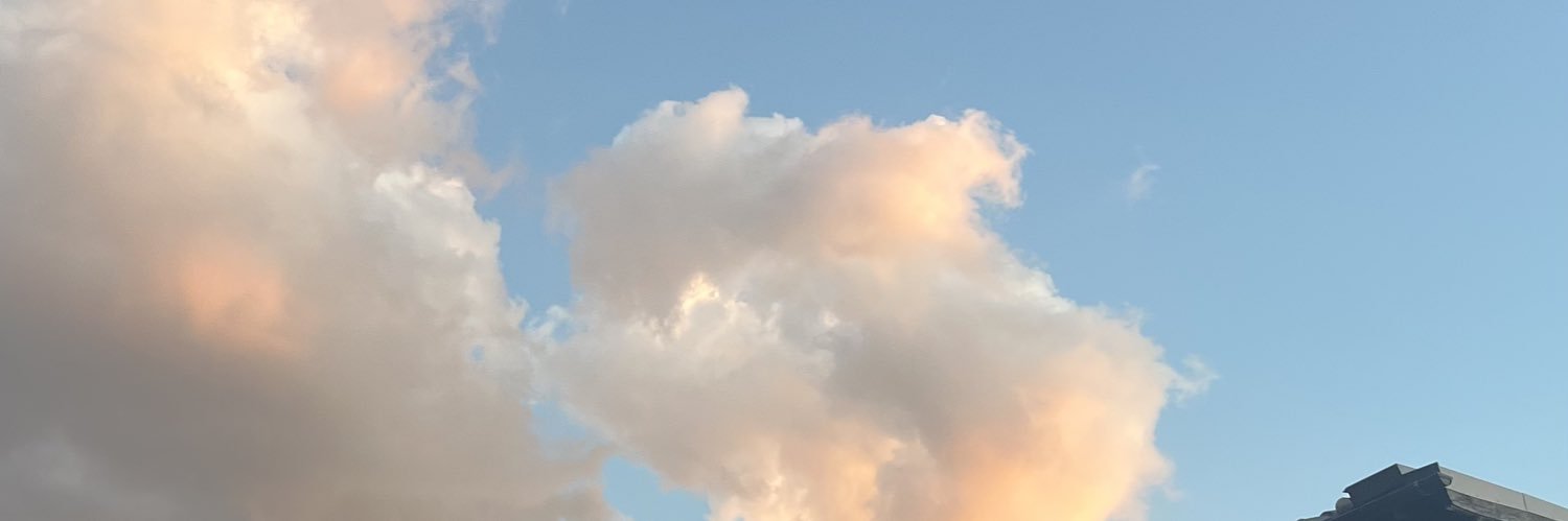 Cint (๑˃̵ᴗ˂̵) banner