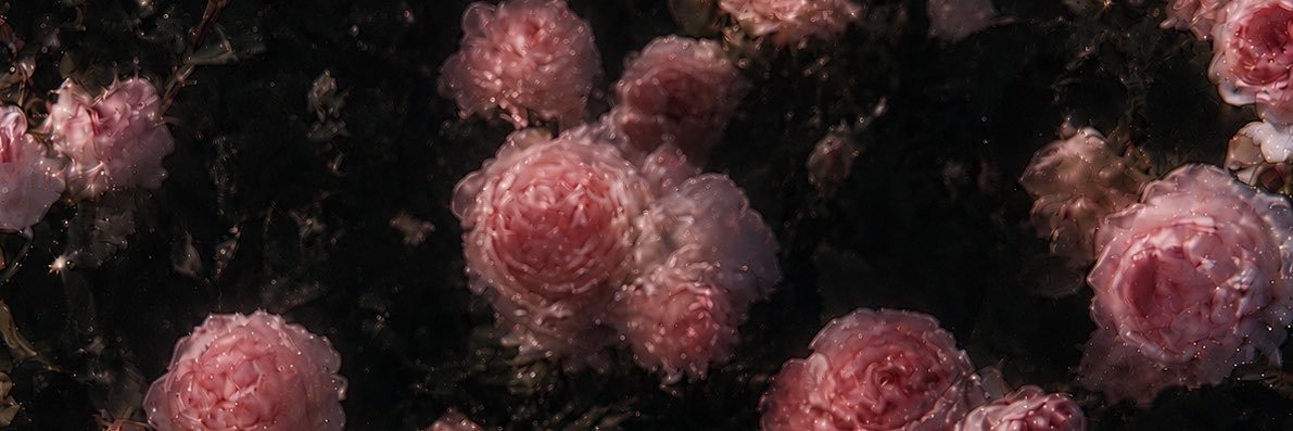 _yvyv86's profile banner image
