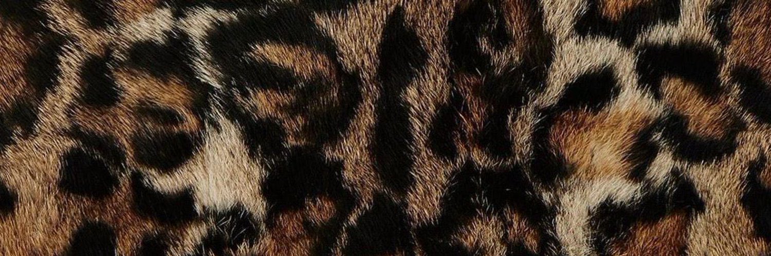 ICY⋆˙⟡ banner