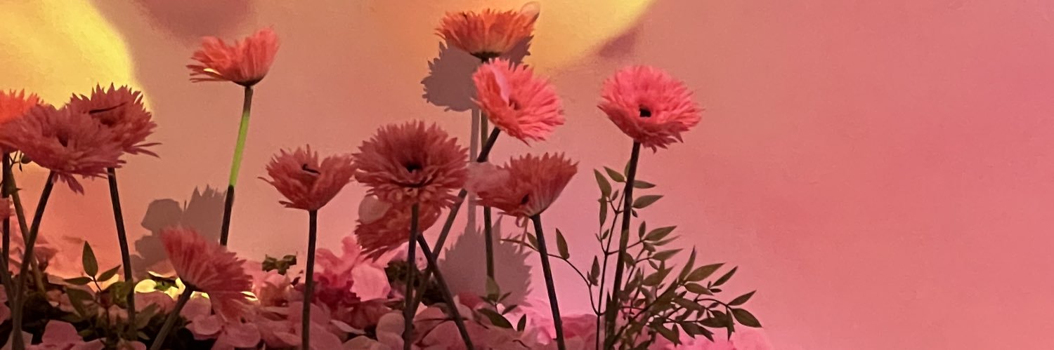 옹르 banner