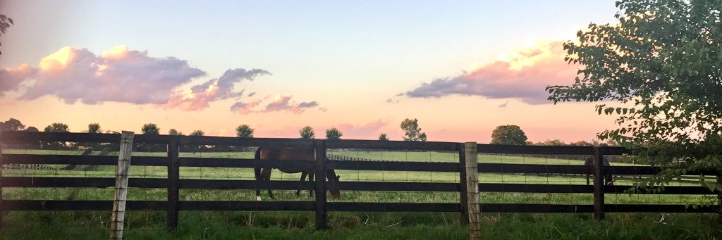 jfowlerpharmd's profile banner image
