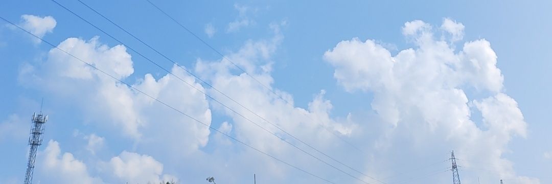 疯子 banner
