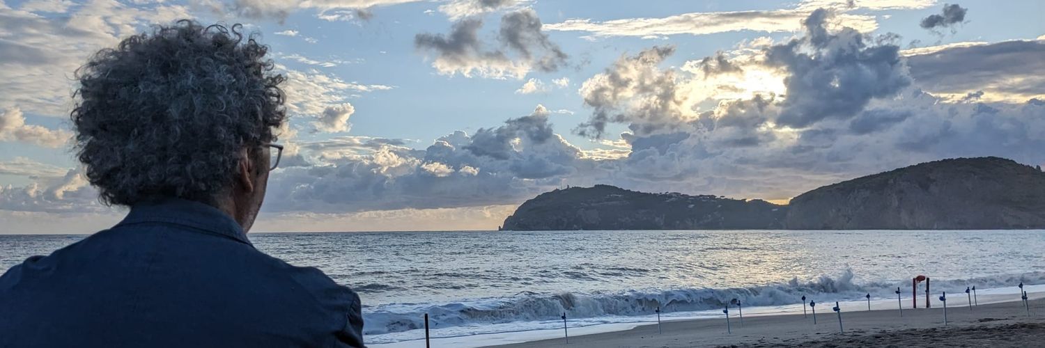 nandosigona's profile banner image