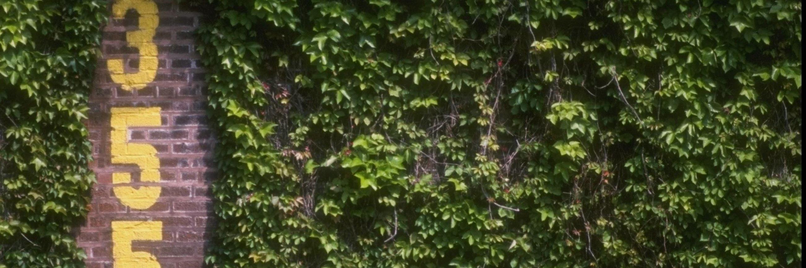normmark's profile banner image