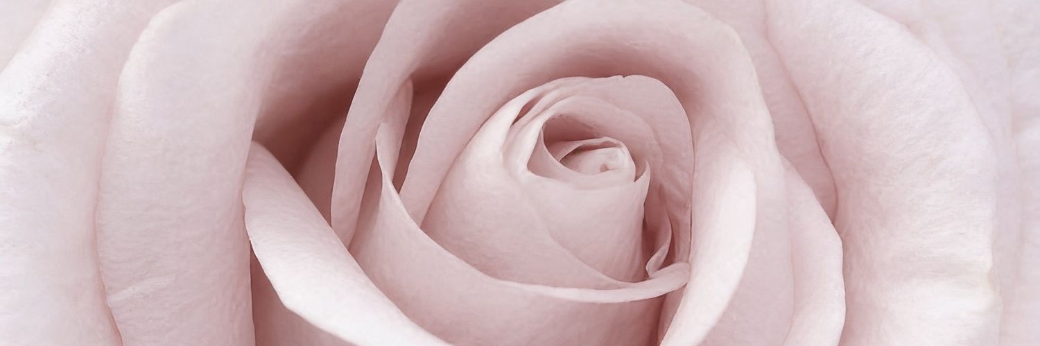 marlene banner