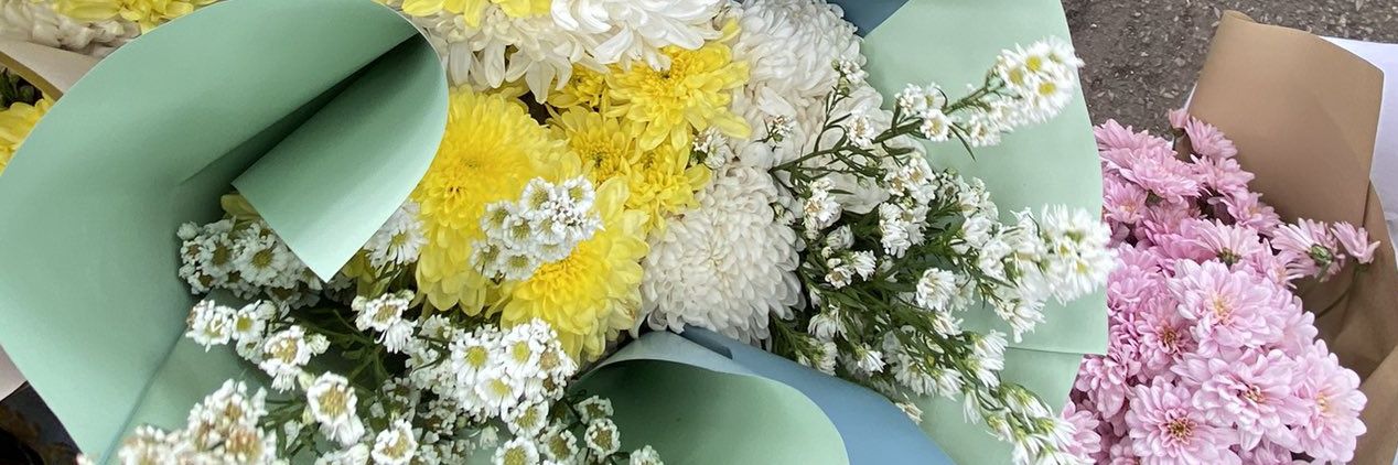 azla | new acc ❀ banner