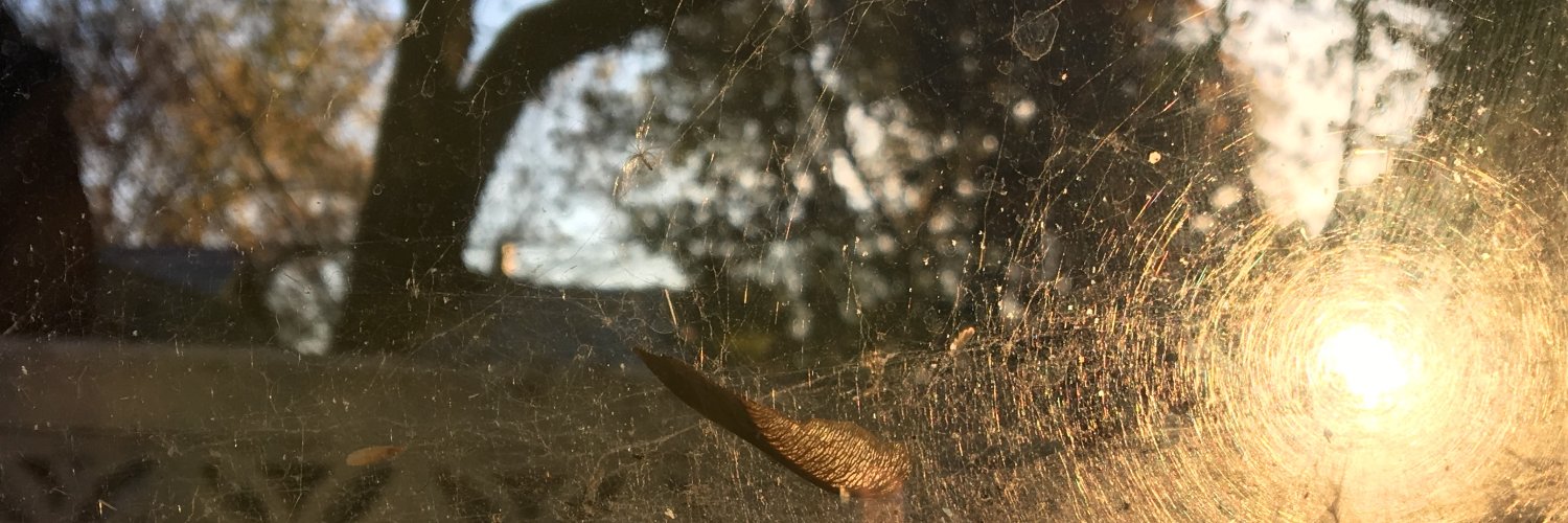 sherronburns's profile banner image