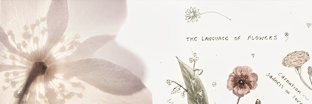 nina 𝚿⋆. 𐙚 ˚ banner
