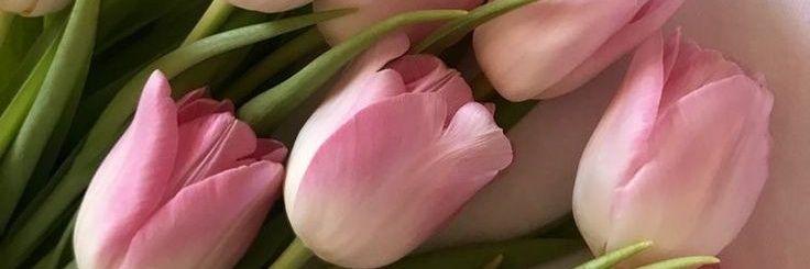 22:22🌷 (เจ้าปลาแทงกูย่า 🐳) banner