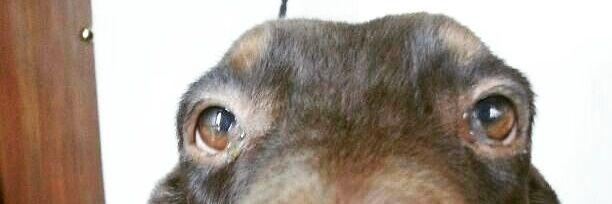 Maleyddm's profile banner image
