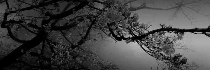 ʚɞ banner