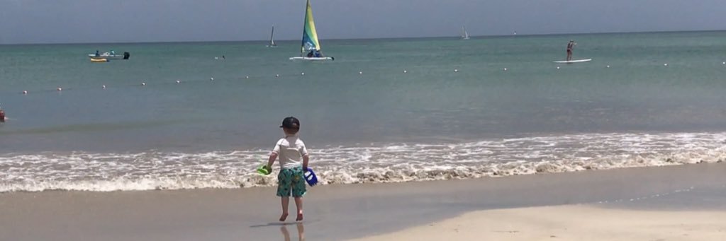 juliesneddon's profile banner image