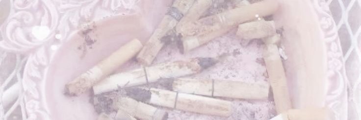 𐙚˚Ellie🐾˖𐙚° banner