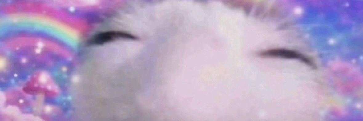 EstudioILA8's profile banner image