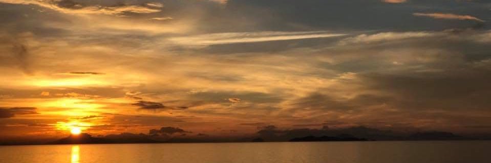 oceanbridge2024's profile banner image
