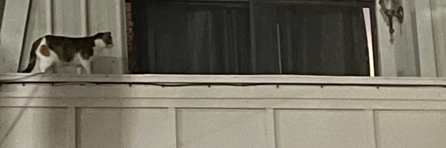 vtholm's profile banner image