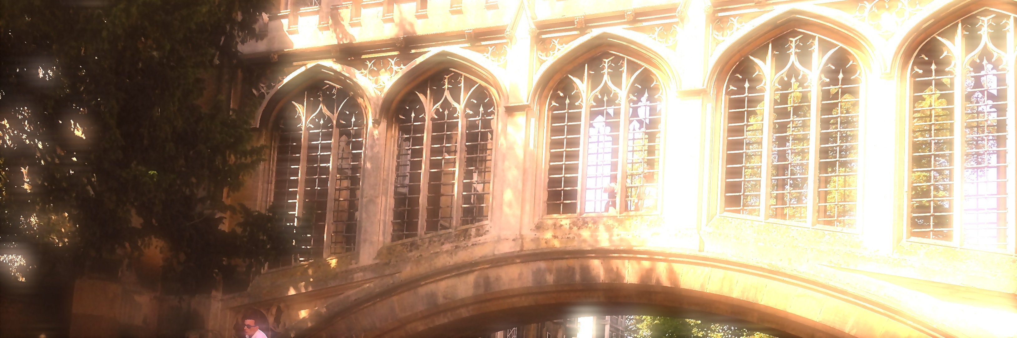 SemCambridge's profile banner image