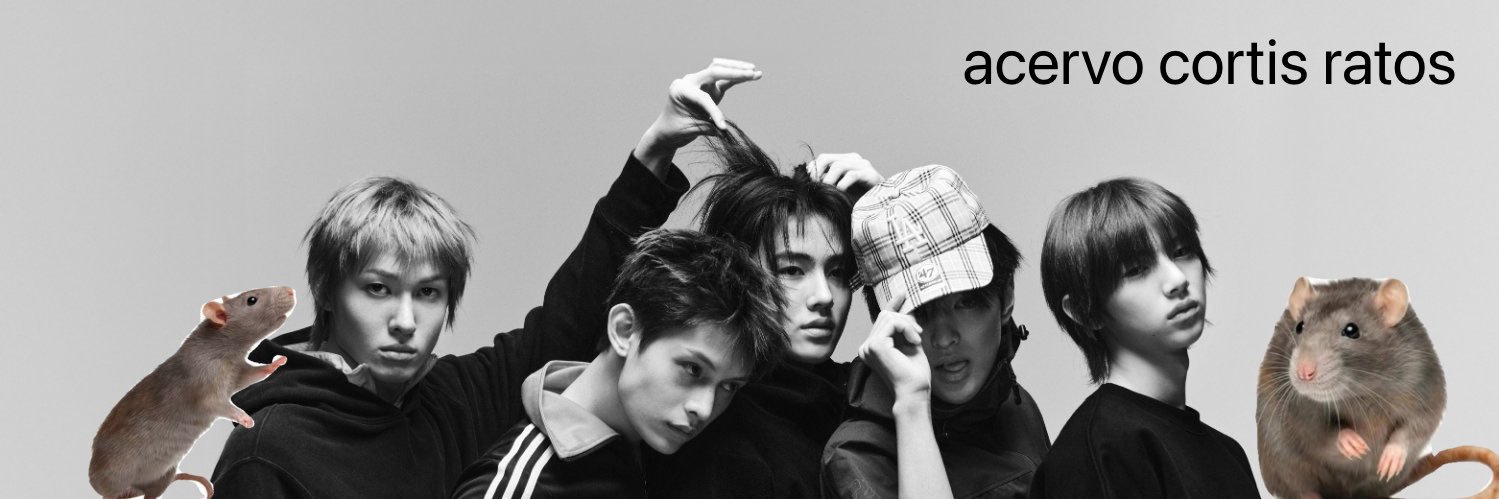 acervo cortis ratos banner