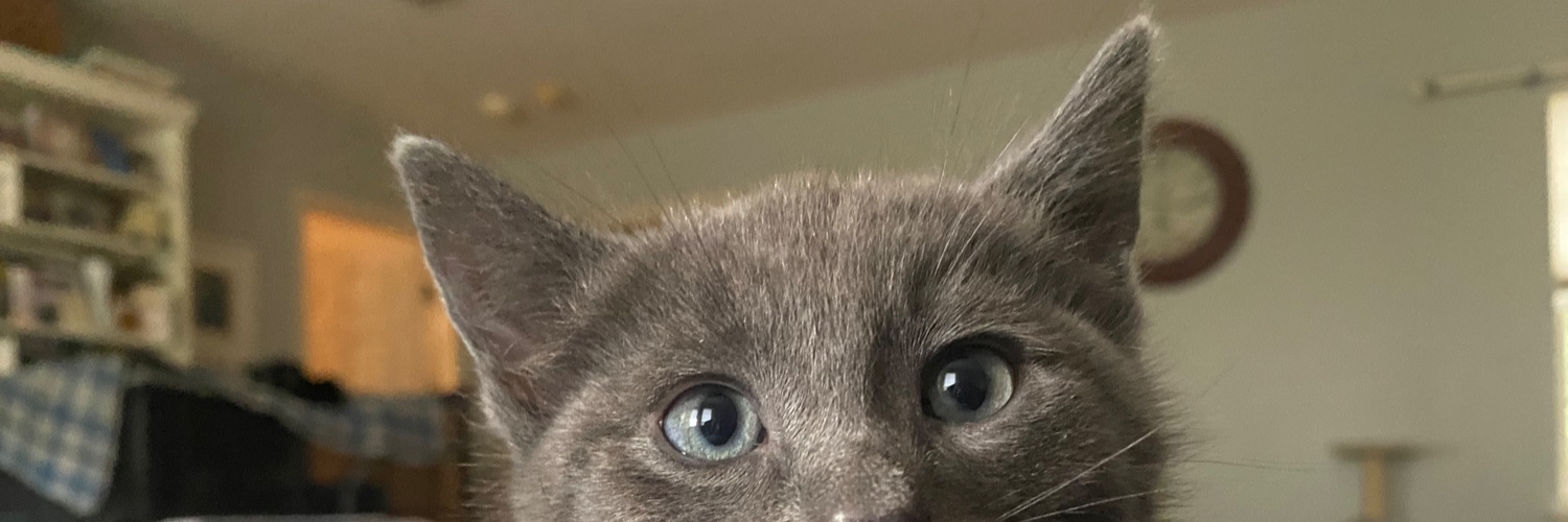 carriepack's profile banner image