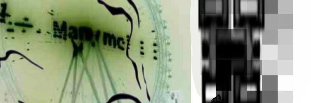 Corncountlife04's profile banner image