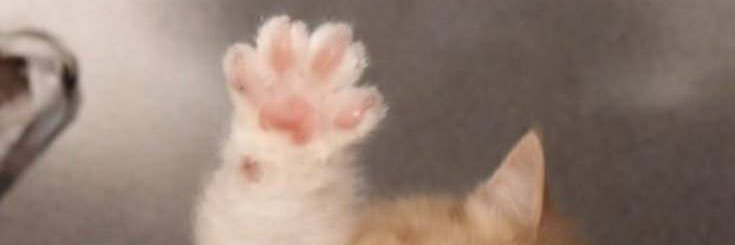 doevxi15's profile banner image