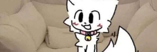 foxiestdragon's profile banner image