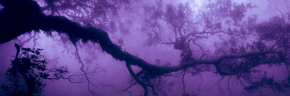 ghostlingmox's profile banner image