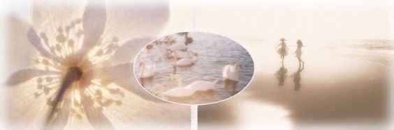 lcttlemuse's profile banner image