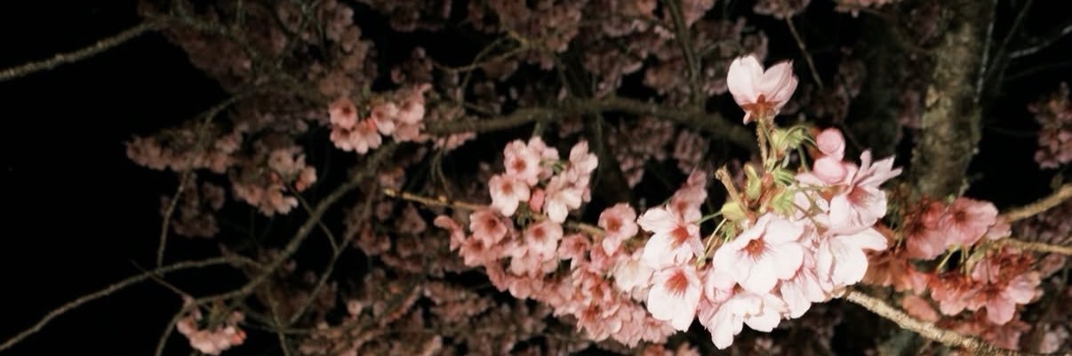 lovekttp's profile banner image