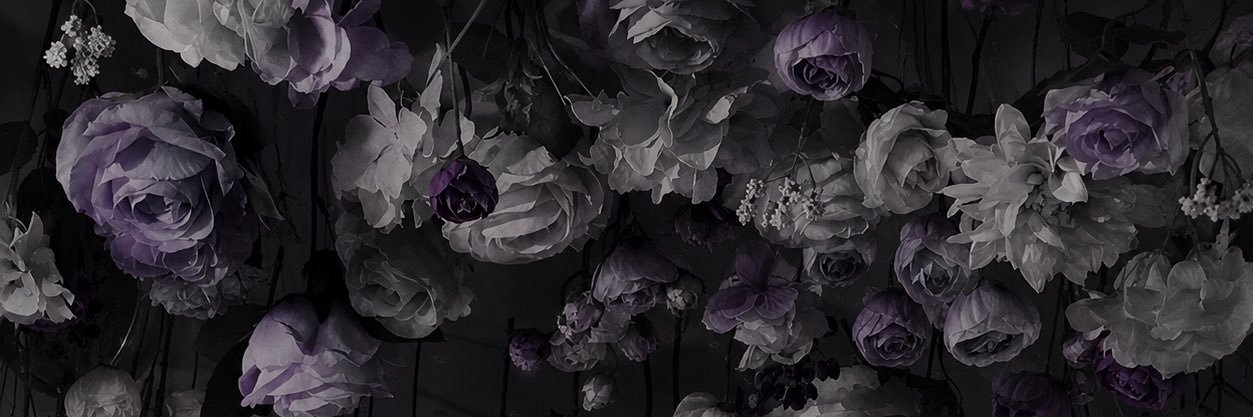 愛瑠夢🌙 banner