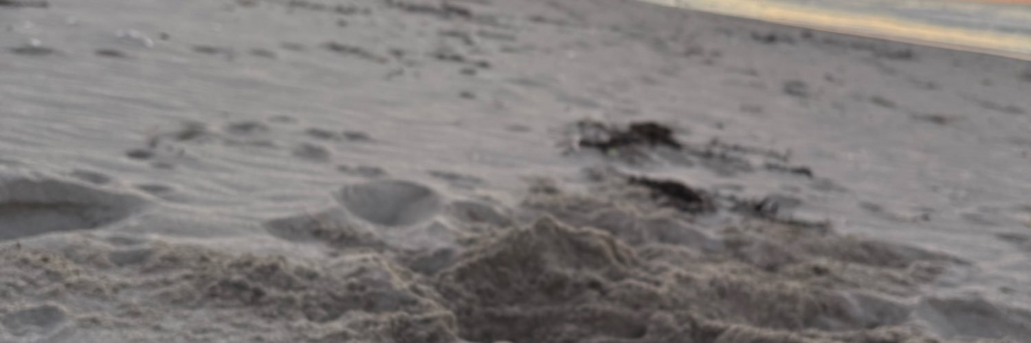 KaiaAtuz's profile banner image