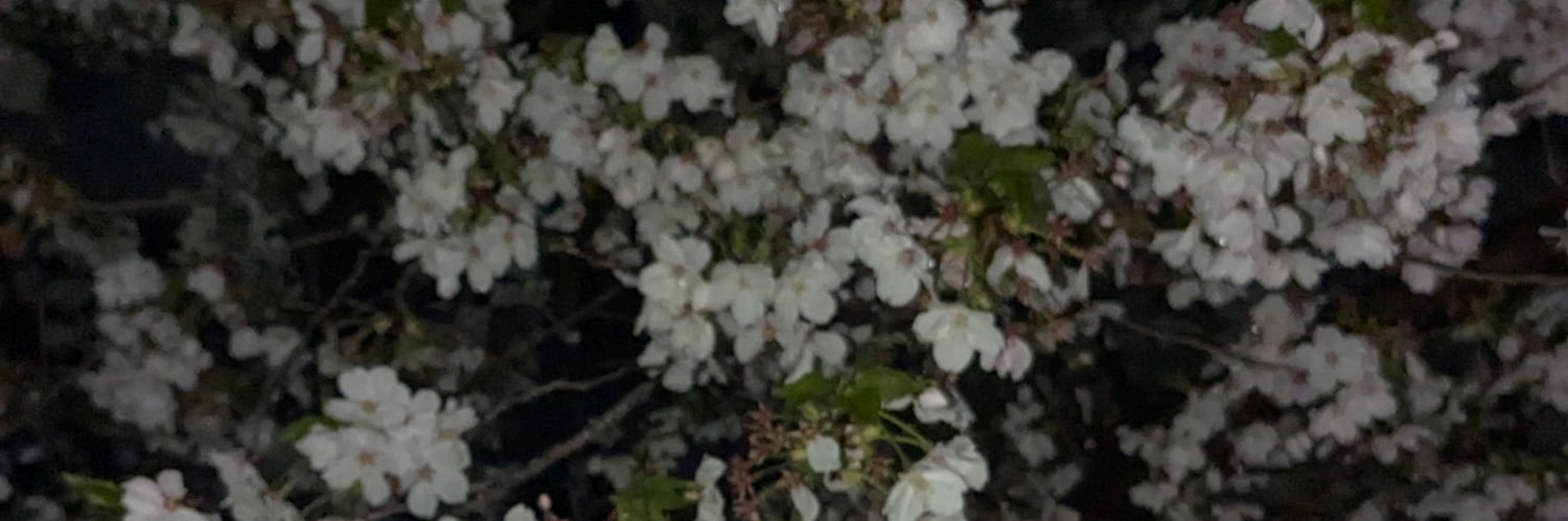 b1e4c6_'s profile banner image