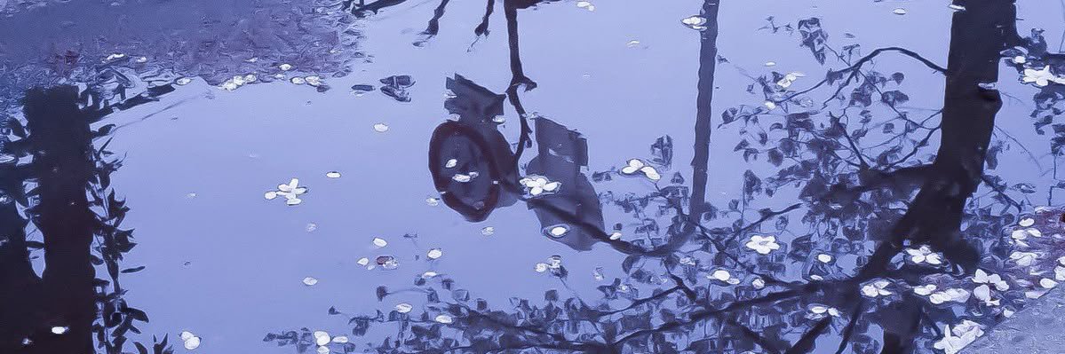 chkk_9's profile banner image