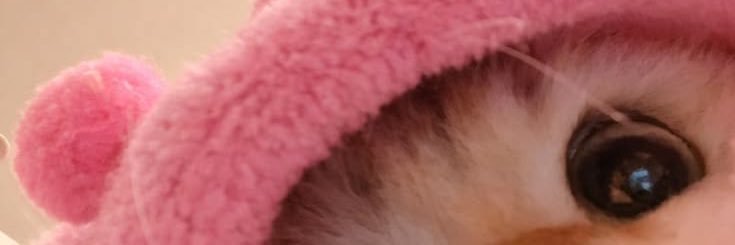 nelastored's profile banner image