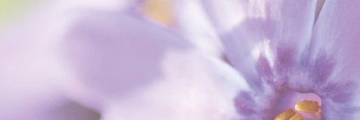 FakenhamGC's profile banner image