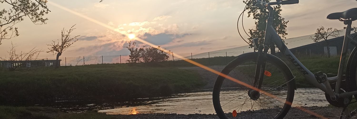 priscillatn's profile banner image