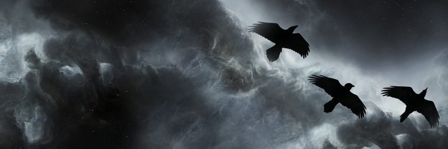 SindriJo's profile banner image