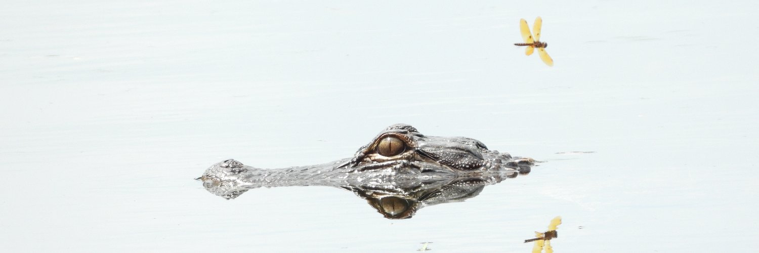 SoneX #StandWithUkraine banner