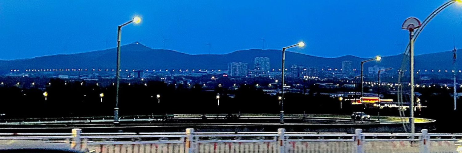 Lily banner