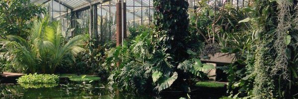 grant_wamack Profile Banner