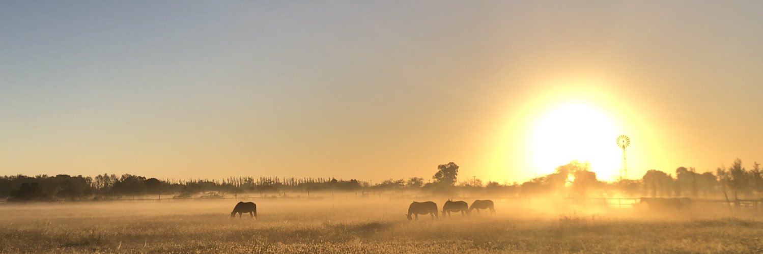 indianavil's profile banner image
