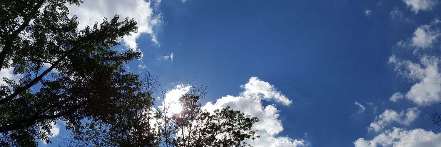 reverewriter's profile banner image