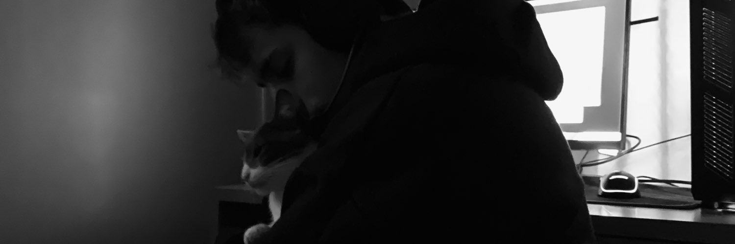 luizadecker's profile banner image