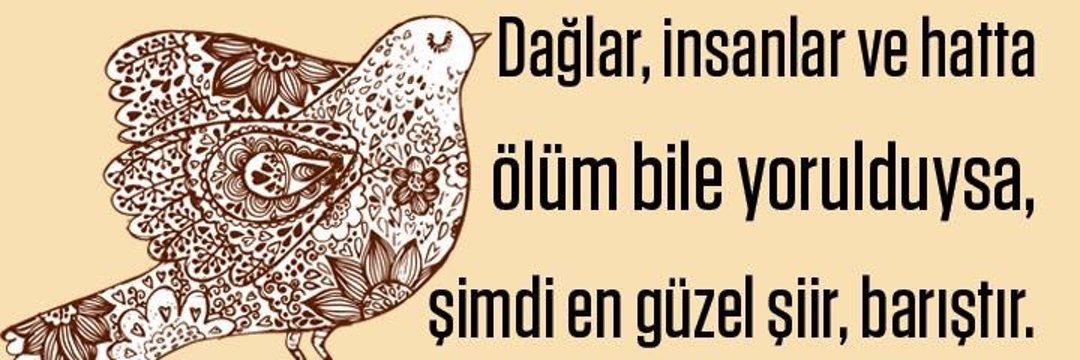 ozyildizzz's profile banner image